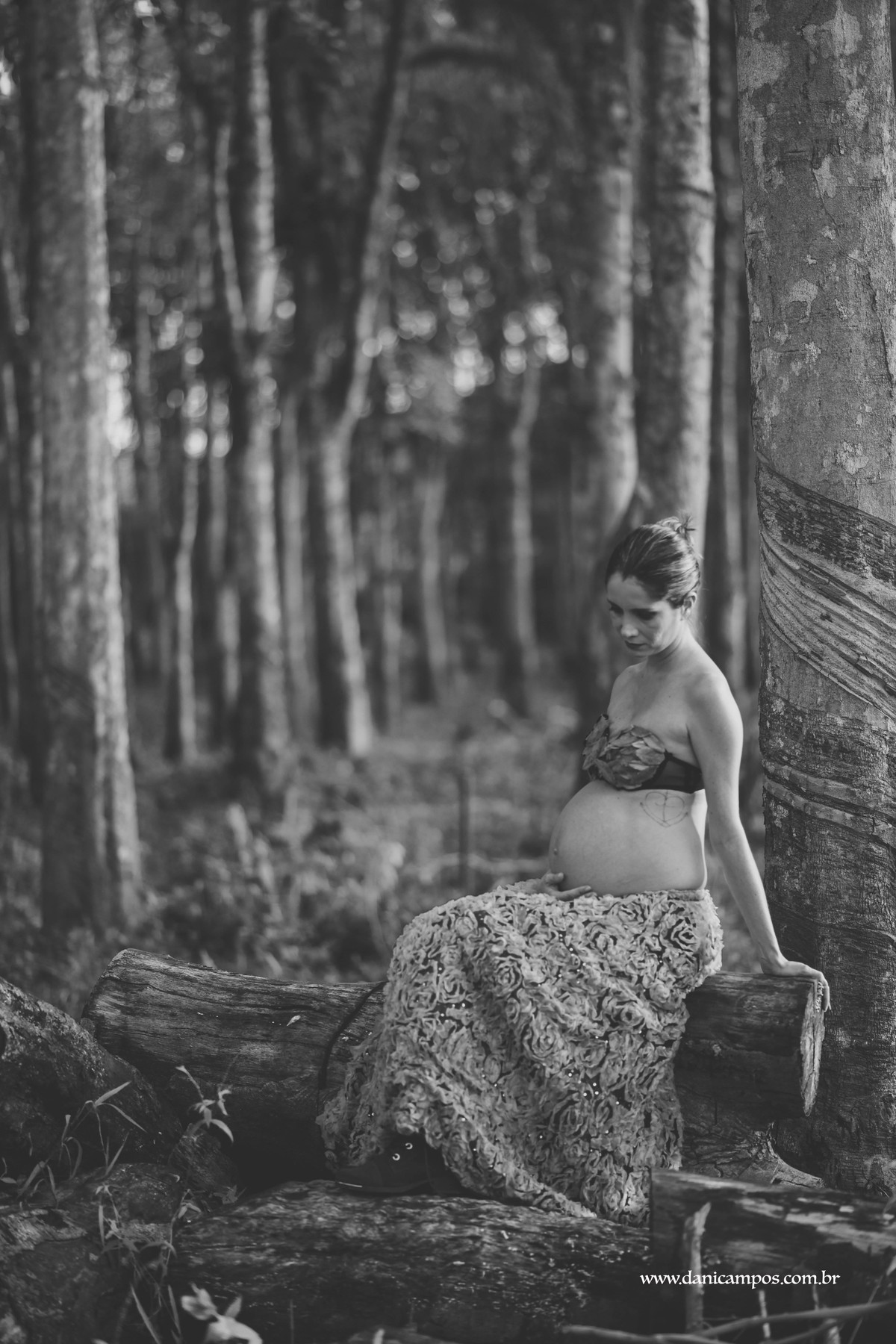 ensaio fotografico gestante dani campos fotografia ensaio gestante na praia ma