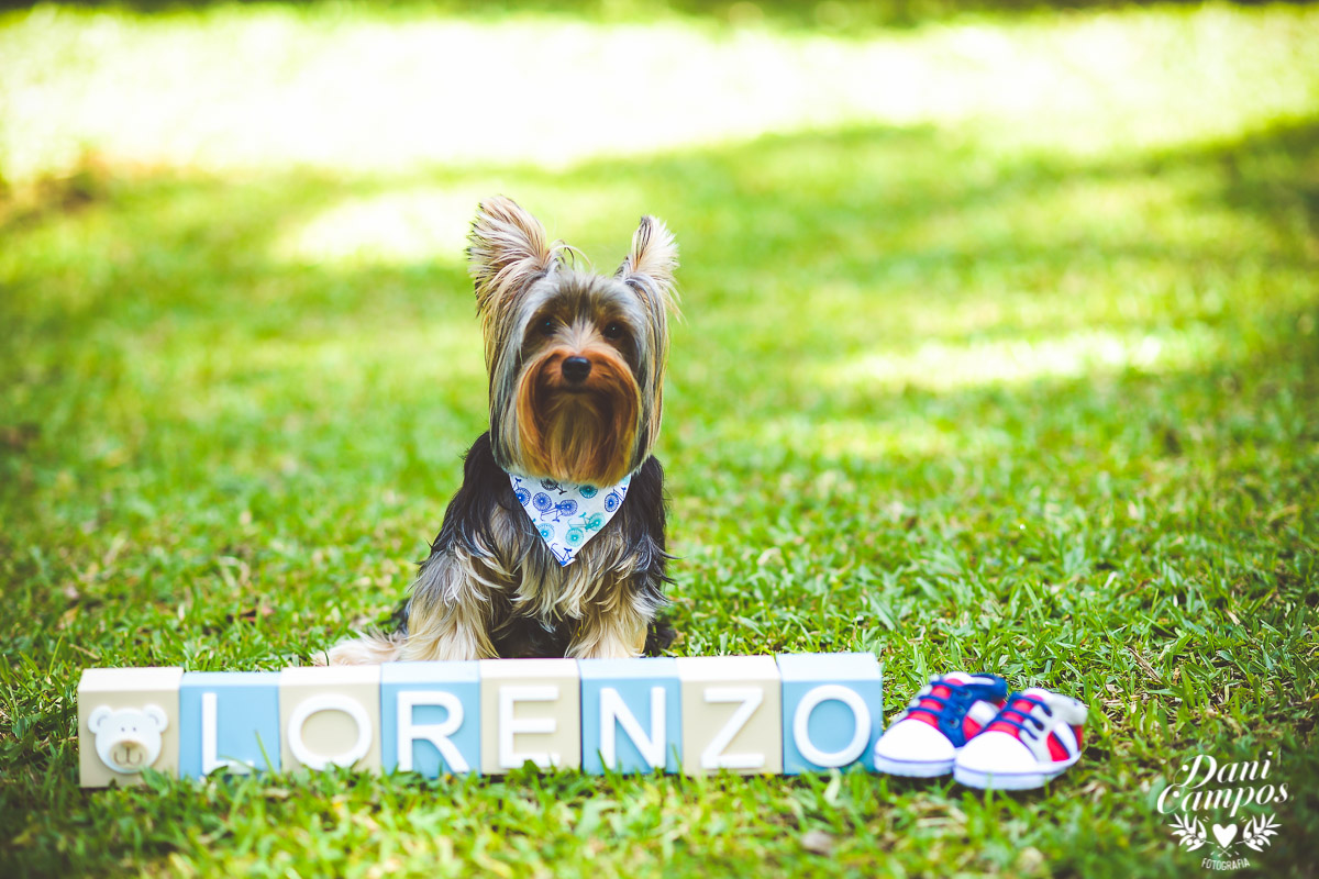 fotografia gestante maternidade gestante na praia fotografia gestante mãe divá gravida mãe de menino dani campos fotografia fotografos no litoral norte fotografa