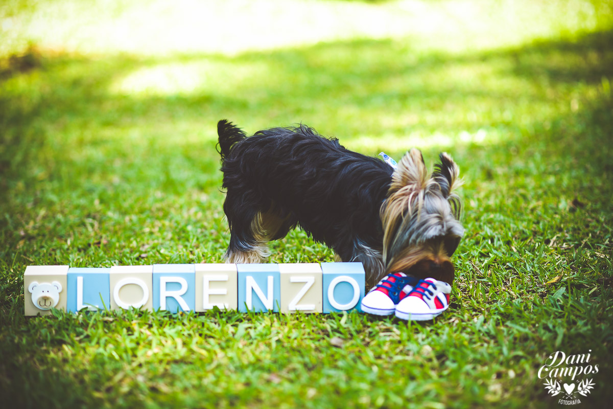 fotografia gestante maternidade gestante na praia fotografia gestante mãe divá gravida mãe de menino dani campos fotografia fotografos no litoral norte fotografa