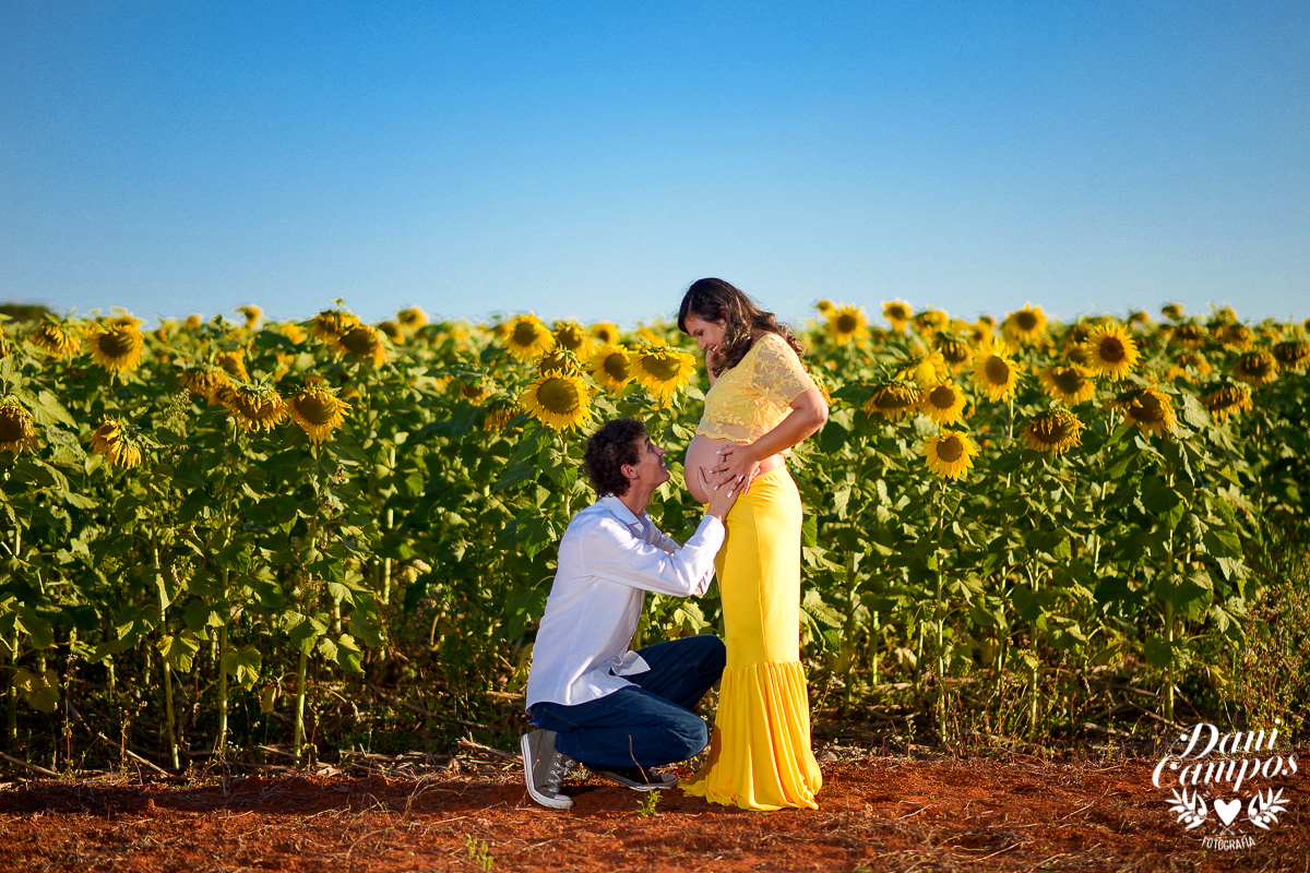 fotografia gestante maternidade Holambra campo de girassois dani campos fotografia ensaio fotografico campo de trigo gravida mae de menina