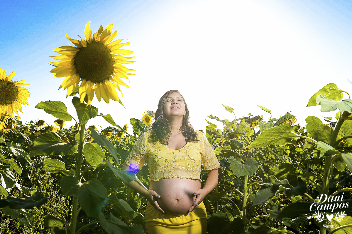 fotografia gestante maternidade Holambra campo de girassois dani campos fotografia ensaio fotografico campo de trigo gravida mae de menina