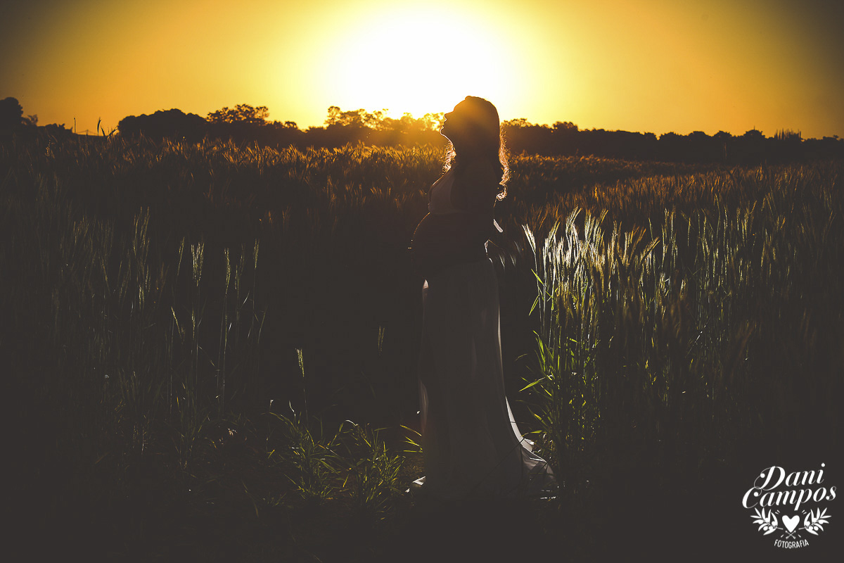 fotografia gestante maternidade Holambra campo de girassois dani campos fotografia ensaio fotografico campo de trigo gravida mae de menina