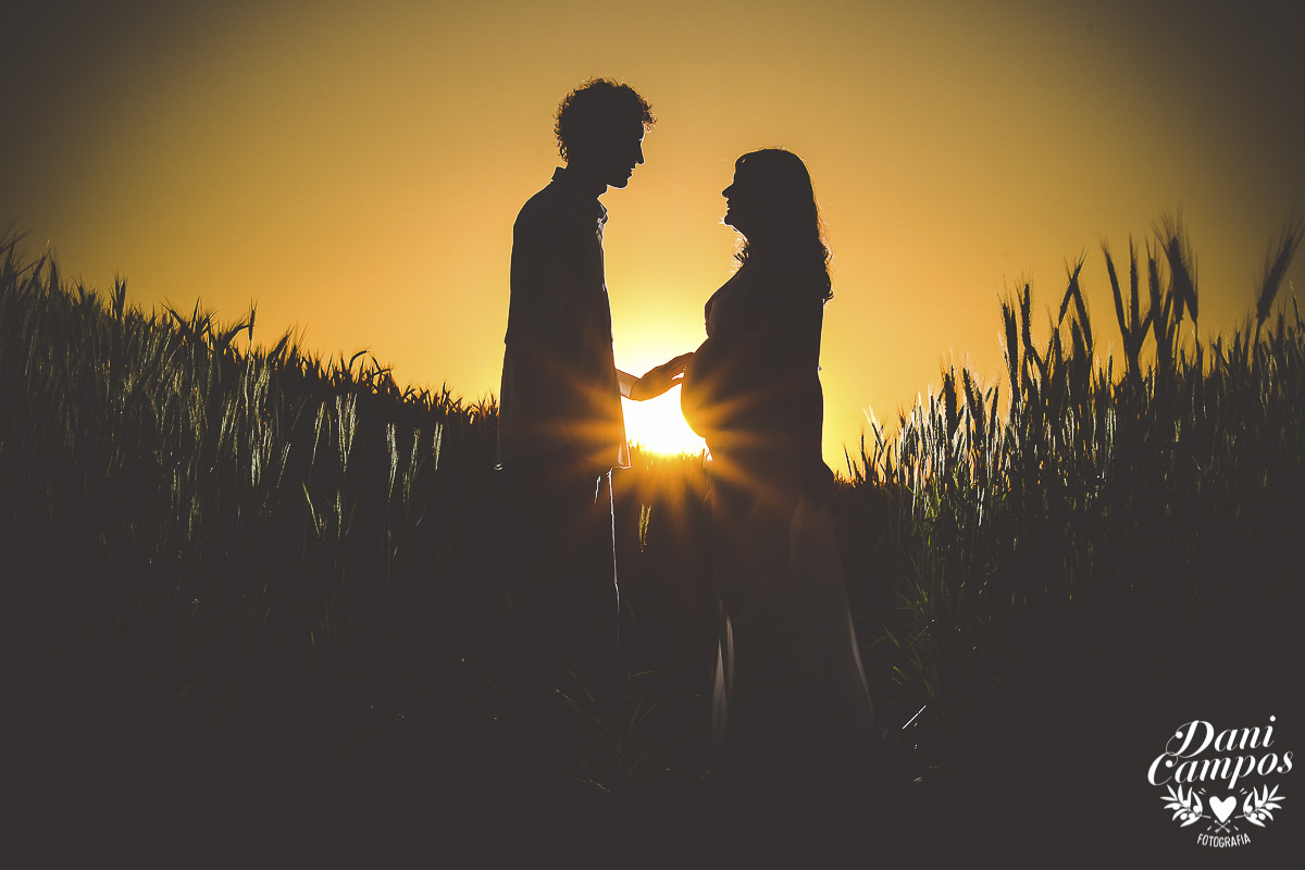 fotografia gestante maternidade Holambra campo de girassois dani campos fotografia ensaio fotografico campo de trigo gravida mae de menina
