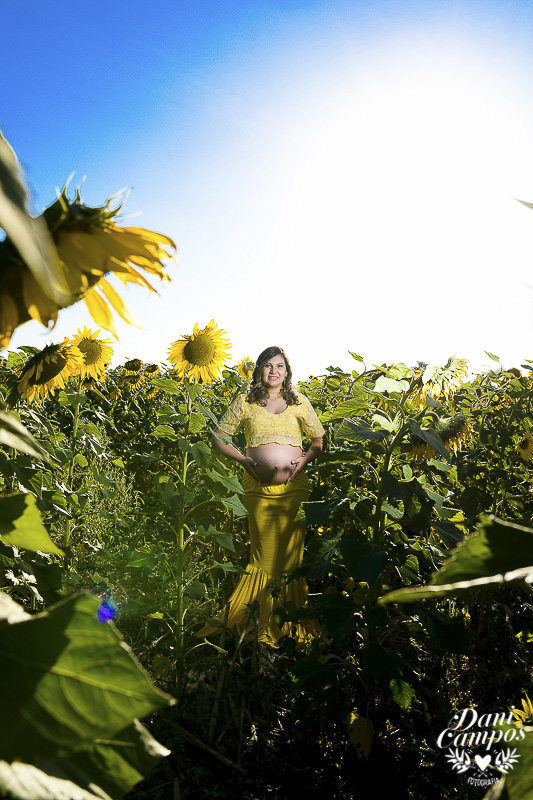fotografia gestante maternidade Holambra campo de girassois dani campos fotografia ensaio fotografico campo de trigo gravida mae de menina