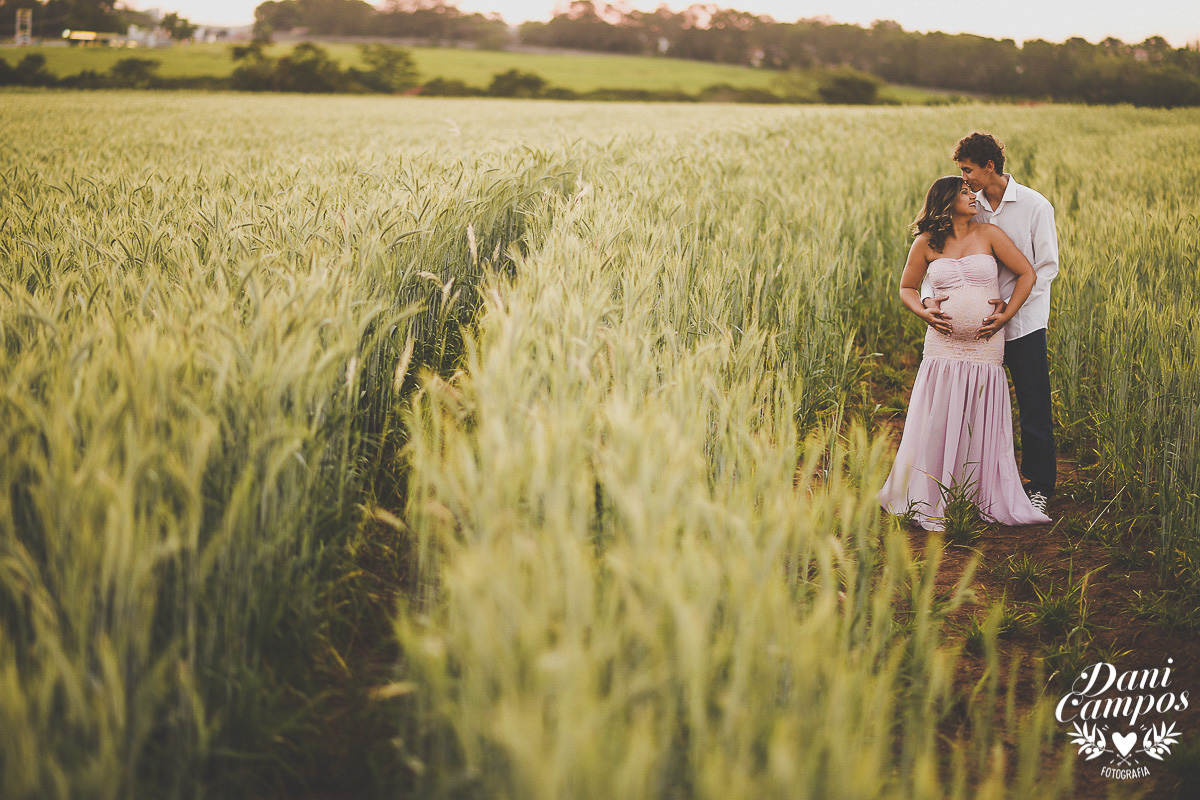 fotografia gestante maternidade Holambra campo de girassois dani campos fotografia ensaio fotografico campo de trigo gravida mae de menina
