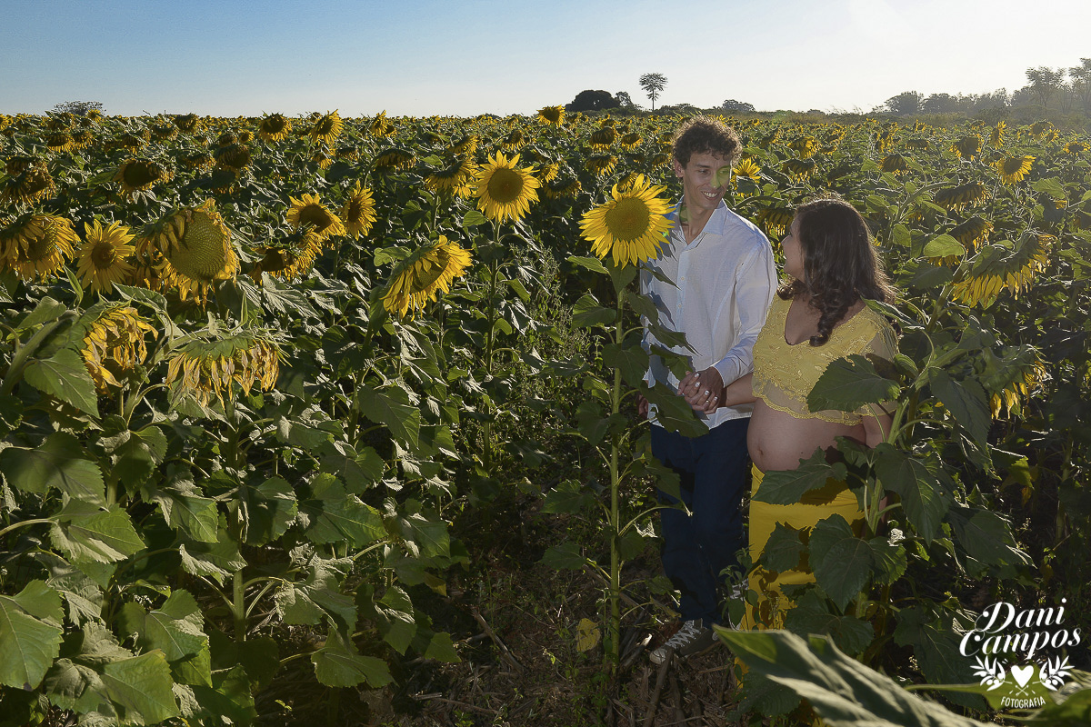 fotografia gestante maternidade Holambra campo de girassois dani campos fotografia ensaio fotografico campo de trigo gravida mae de menina