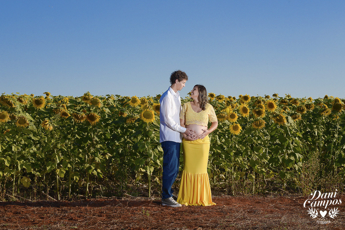 fotografia gestante maternidade Holambra campo de girassois dani campos fotografia ensaio fotografico campo de trigo gravida mae de menina