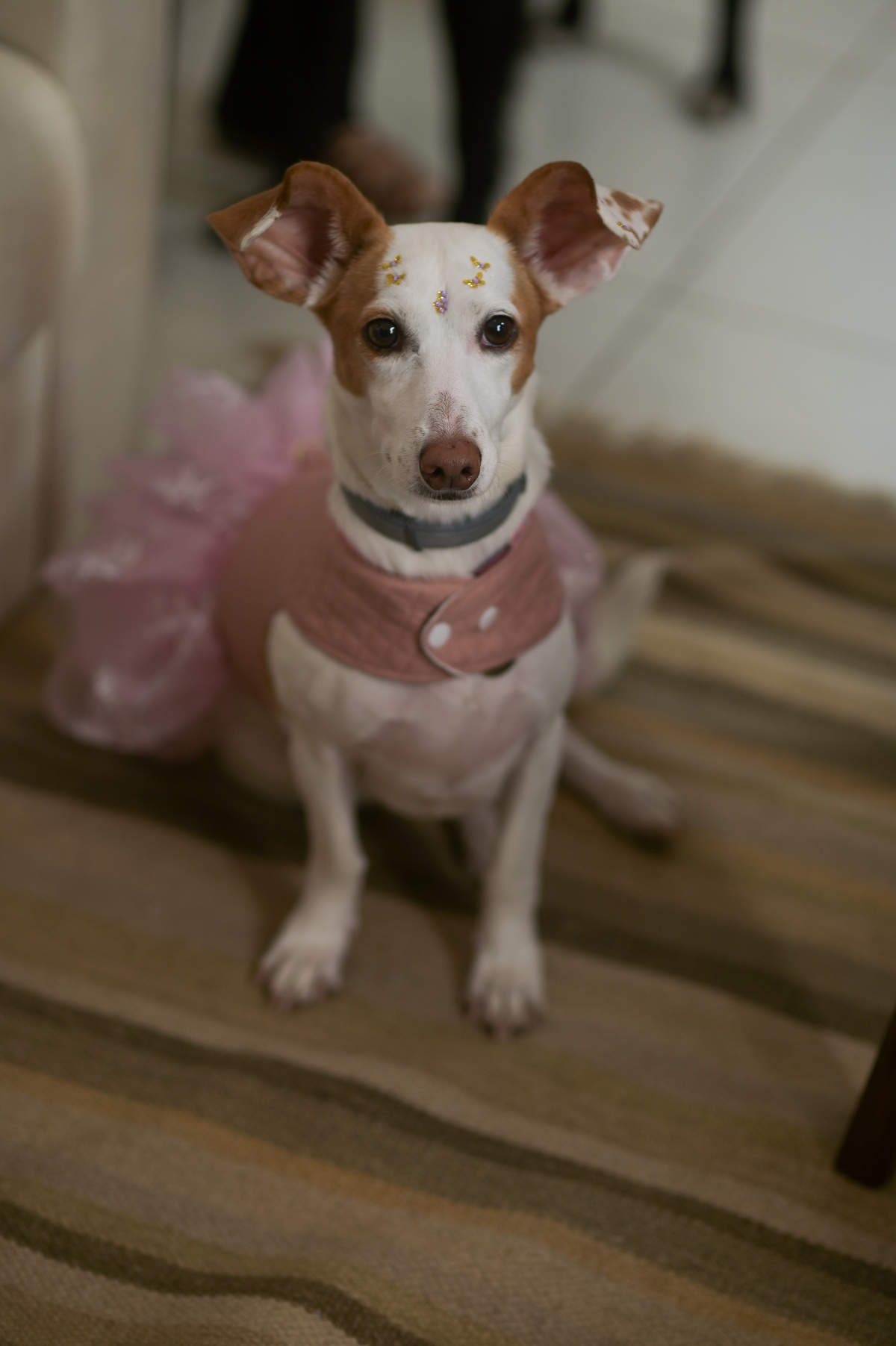 oto de casamento noiva noivo fotografo no litoral dani campos fotografia e video casar na ilha 