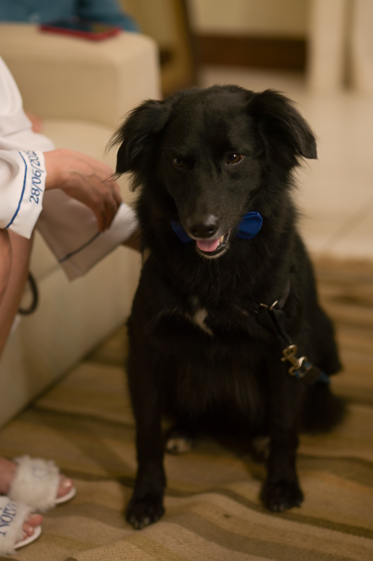 oto de casamento noiva noivo fotografo no litoral dani campos fotografia e video casar na ilha 