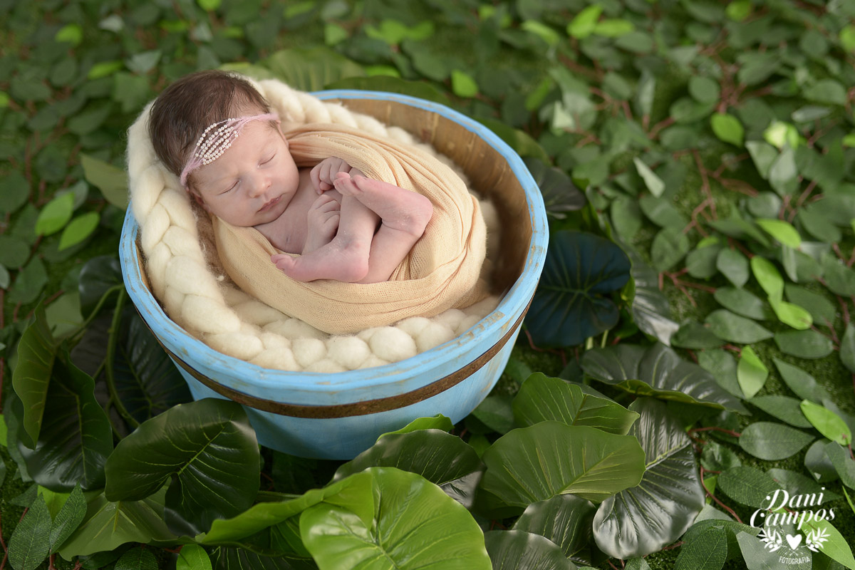 newborn fotografia newborn menina maternidade dani campos fotografia