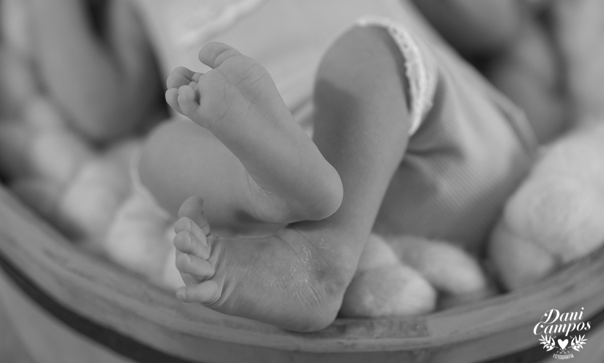 newborn fotografia newborn menina maternidade dani campos fotografia