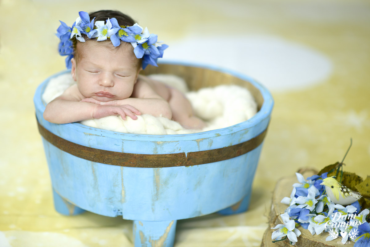 newborn fotografia newborn menina maternidade dani campos fotografia