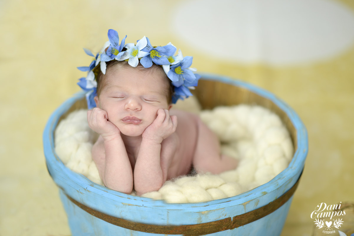 newborn fotografia newborn menina maternidade dani campos fotografia