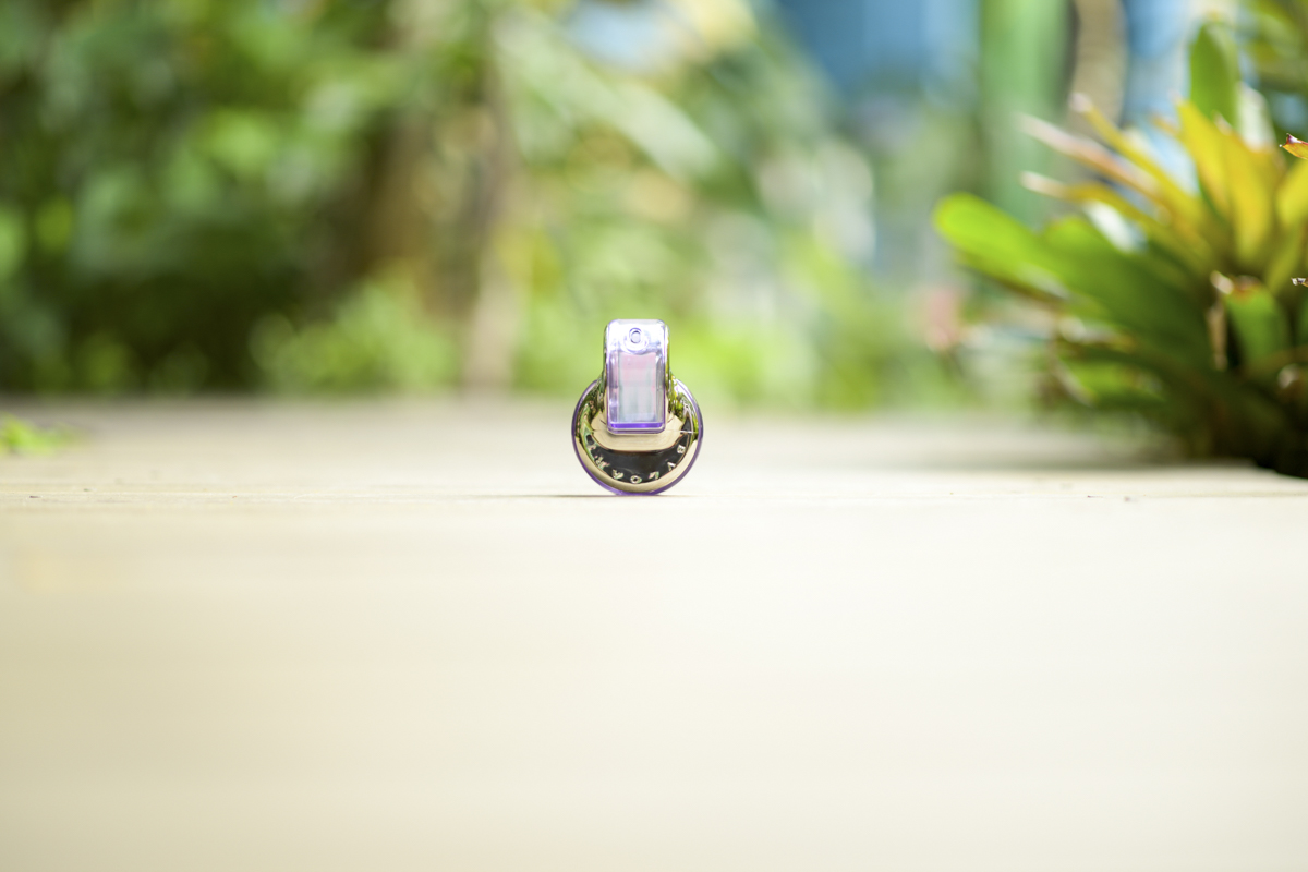 dani campos fotografa, fotografo de casamento, noiva , fotos making of da noiva, making of do noivo, fotos vestidos de noiva, terno, igreja matriz sao sebastiao - sp, fotografo litoral norte sao paulo, casamento de dia, casamento igreja, chuva de arroz, f