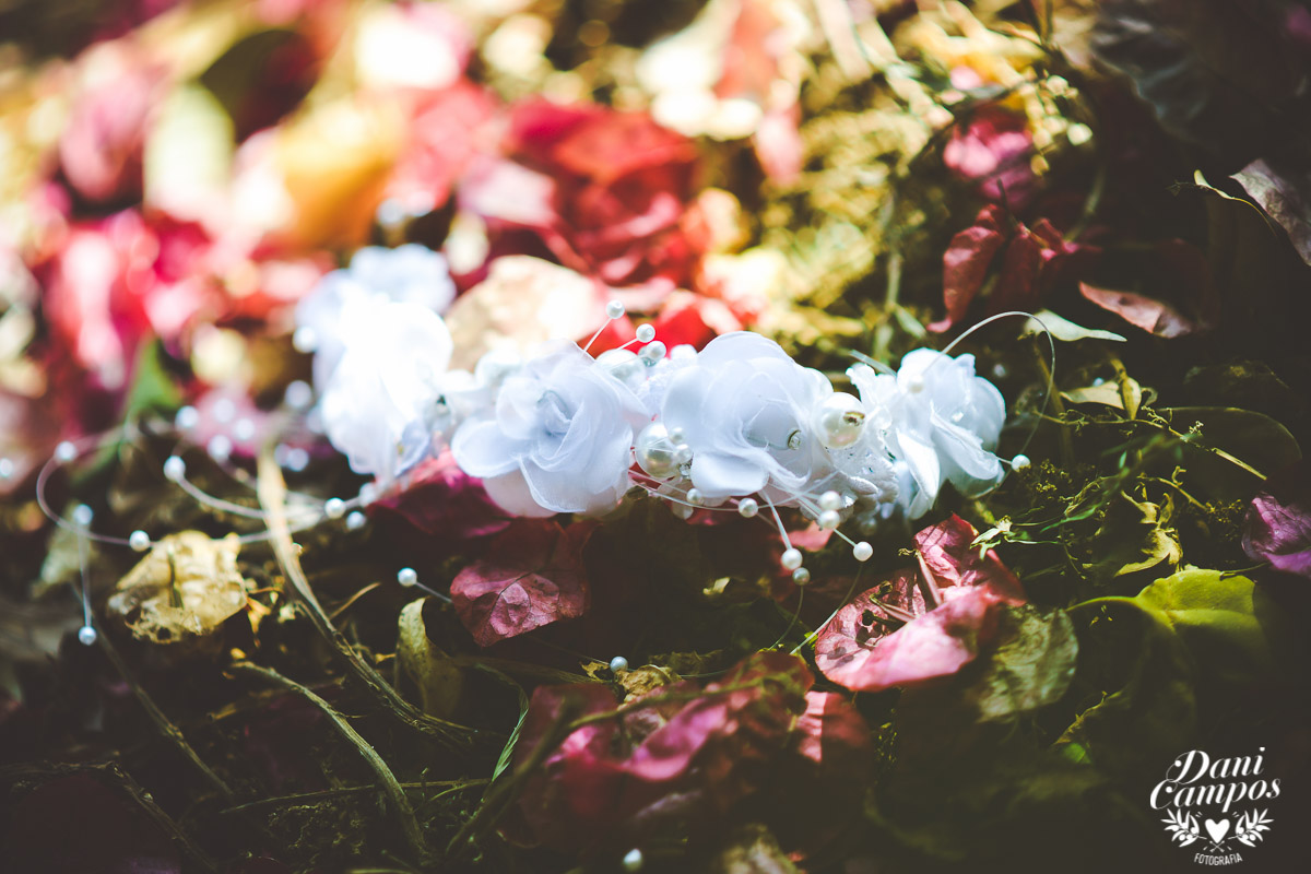 fotografia de casamento wedding noiva festa casamento casar no campo dani campos fotografo no litoral fotografia de casamento no litora