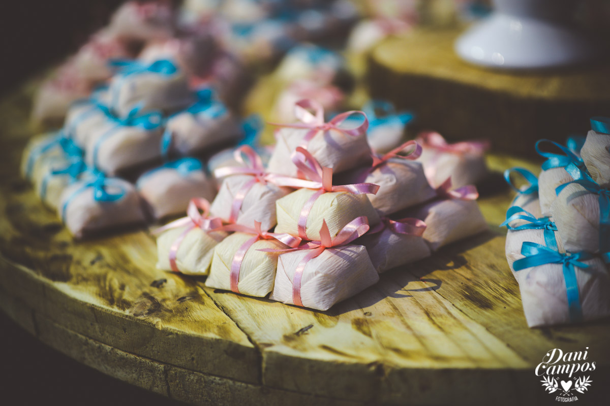 fotografia de casamento wedding noiva festa casamento casar no campo dani campos fotografo no litoral fotografia de casamento no litora