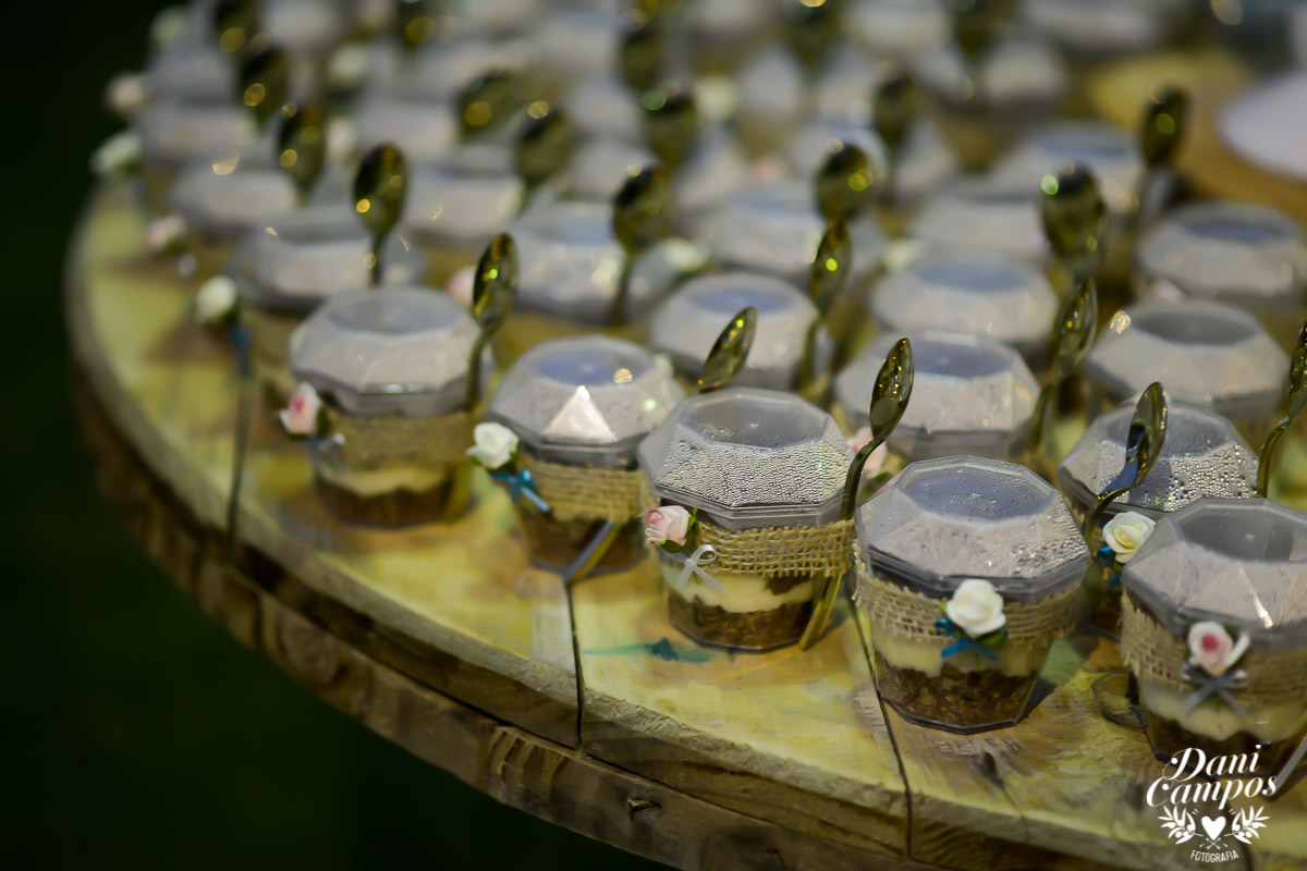 fotografia de casamento wedding noiva festa casamento casar no campo dani campos fotografo no litoral fotografia de casamento no litora