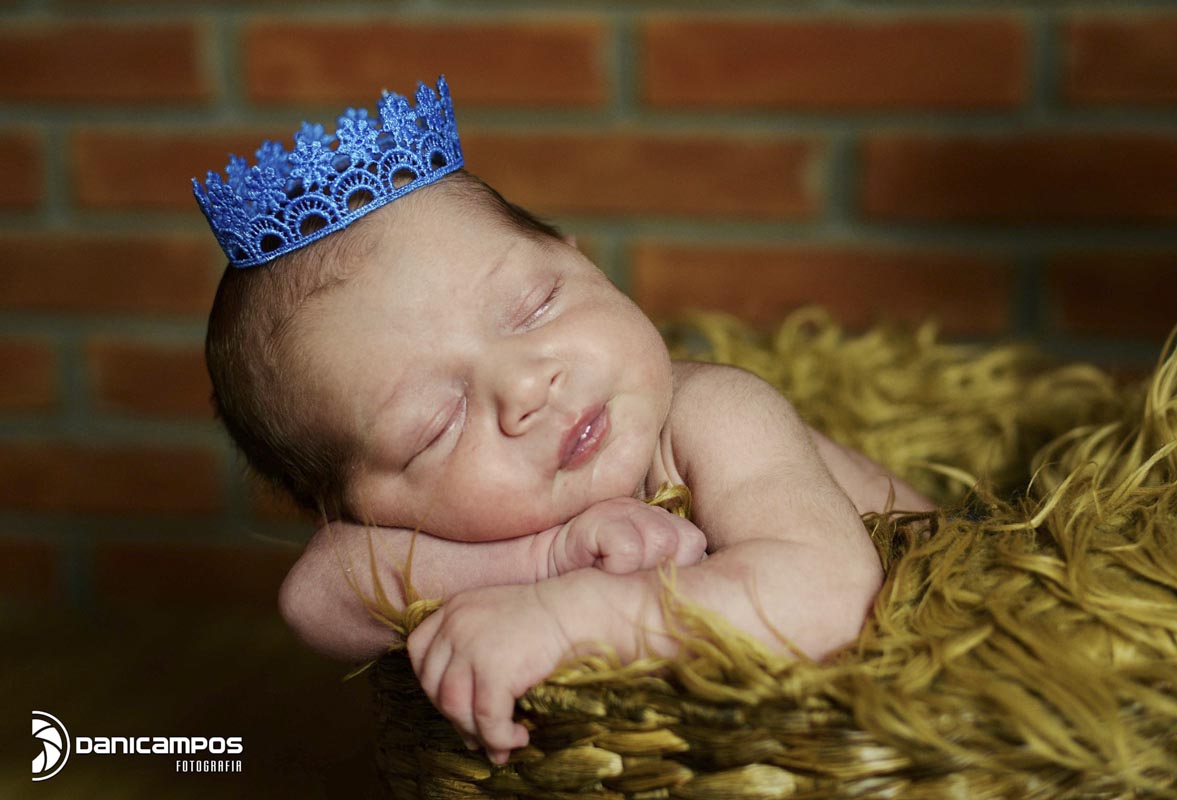 ani campos fotografia, fotografos no litoral de sao paulo, litoral norte, fotografia de recem nascido, estudio fotografico, newborn, recem nascido,