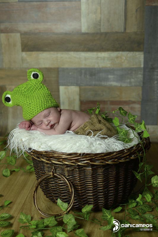 ani campos fotografia, fotografos no litoral de sao paulo, litoral norte, fotografia de recem nascido, estudio fotografico, newborn, recem nascido,