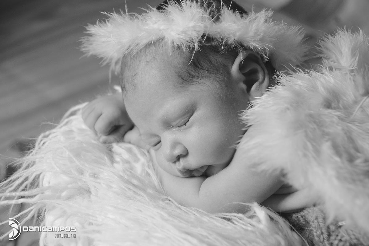 ani campos fotografia, fotografos no litoral de sao paulo, litoral norte, fotografia de recem nascido, estudio fotografico, newborn, recem nascido,