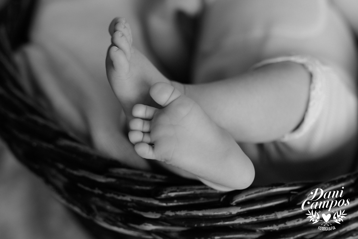 newborn fotografia de recem nascido fotografos no litoral dani campos fotografia bebe menina baby