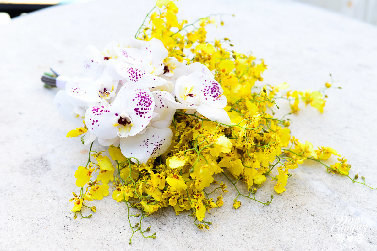 fotografia de casamento casar de dia casamento na praia fotografia fotografos no litoral dani campos fotografia casar noiva noivo