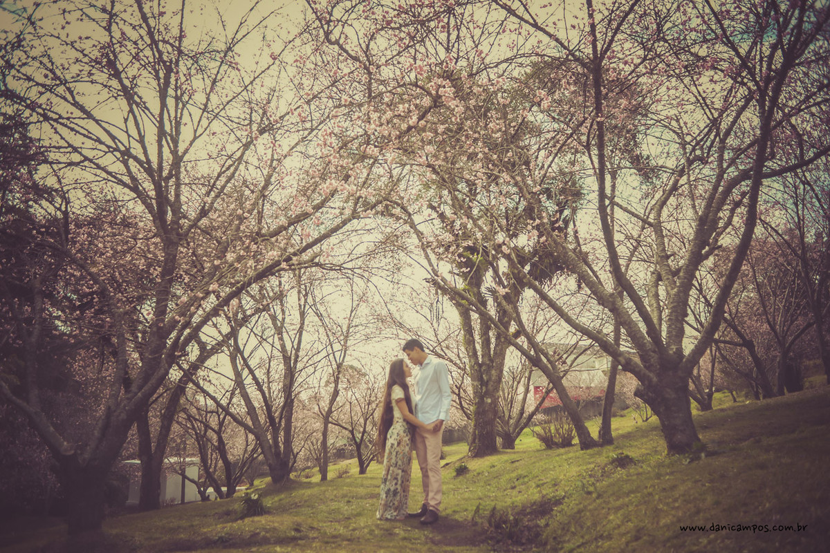 fotografia de casamento, casamento, pre wedding, parque das cereijeiras, dani campos, danica campos fotografia, casais, fotografia, fotografos no litoral, campos do jordao
