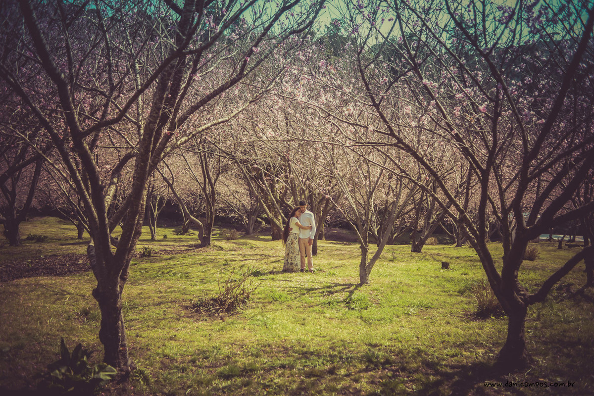 fotografia de casamento, casamento, pre wedding, parque das cereijeiras, dani campos, danica campos fotografia, casais, fotografia, fotografos no litoral, campos do jordao