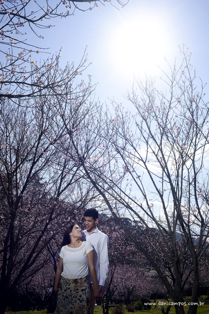 fotografia de casamento, casamento, pre wedding, parque das cereijeiras, dani campos, danica campos fotografia, casais, fotografia, fotografos no litoral, campos do jordao