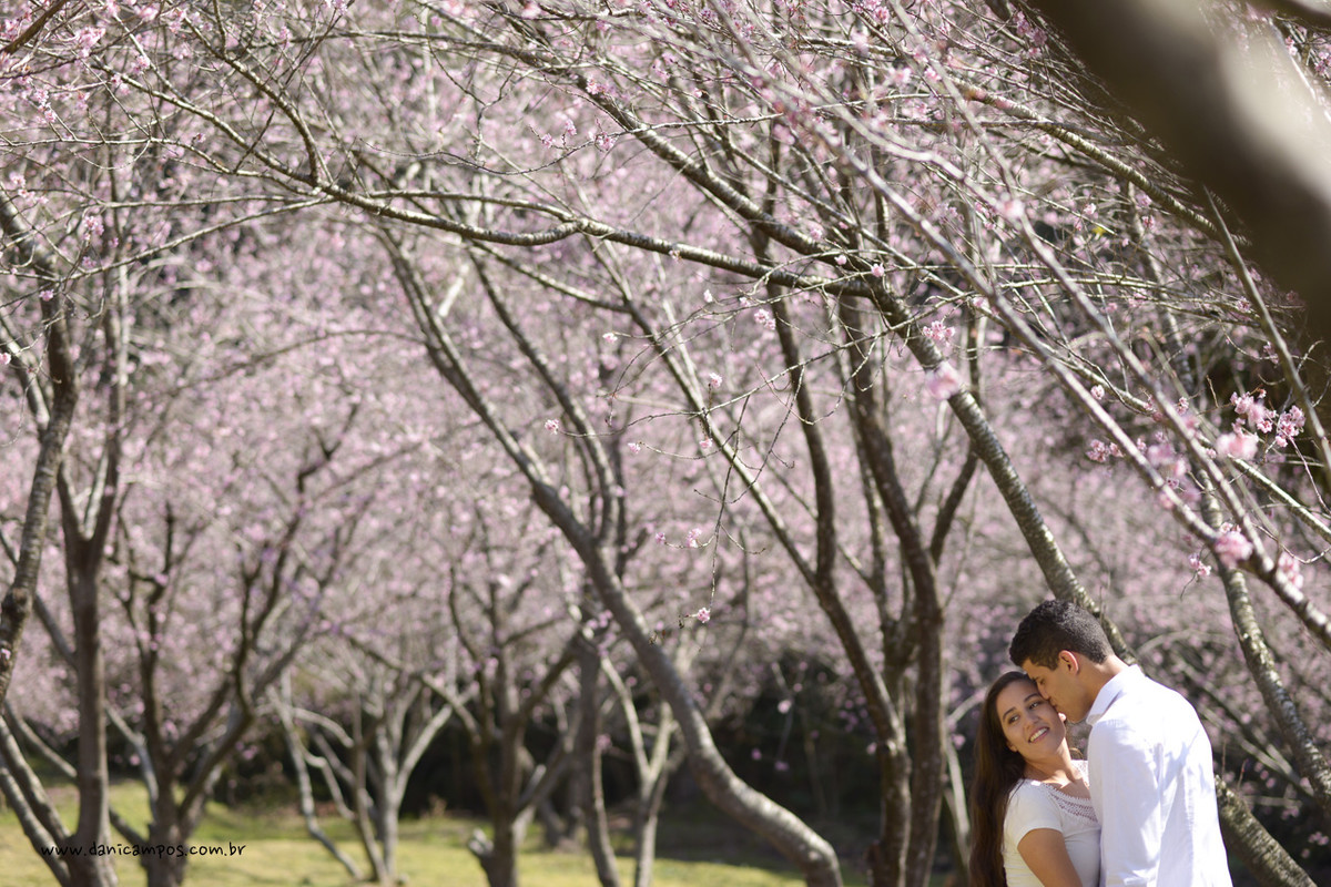 fotografia de casamento, casamento, pre wedding, parque das cereijeiras, dani campos, danica campos fotografia, casais, fotografia, fotografos no litoral, campos do jordao