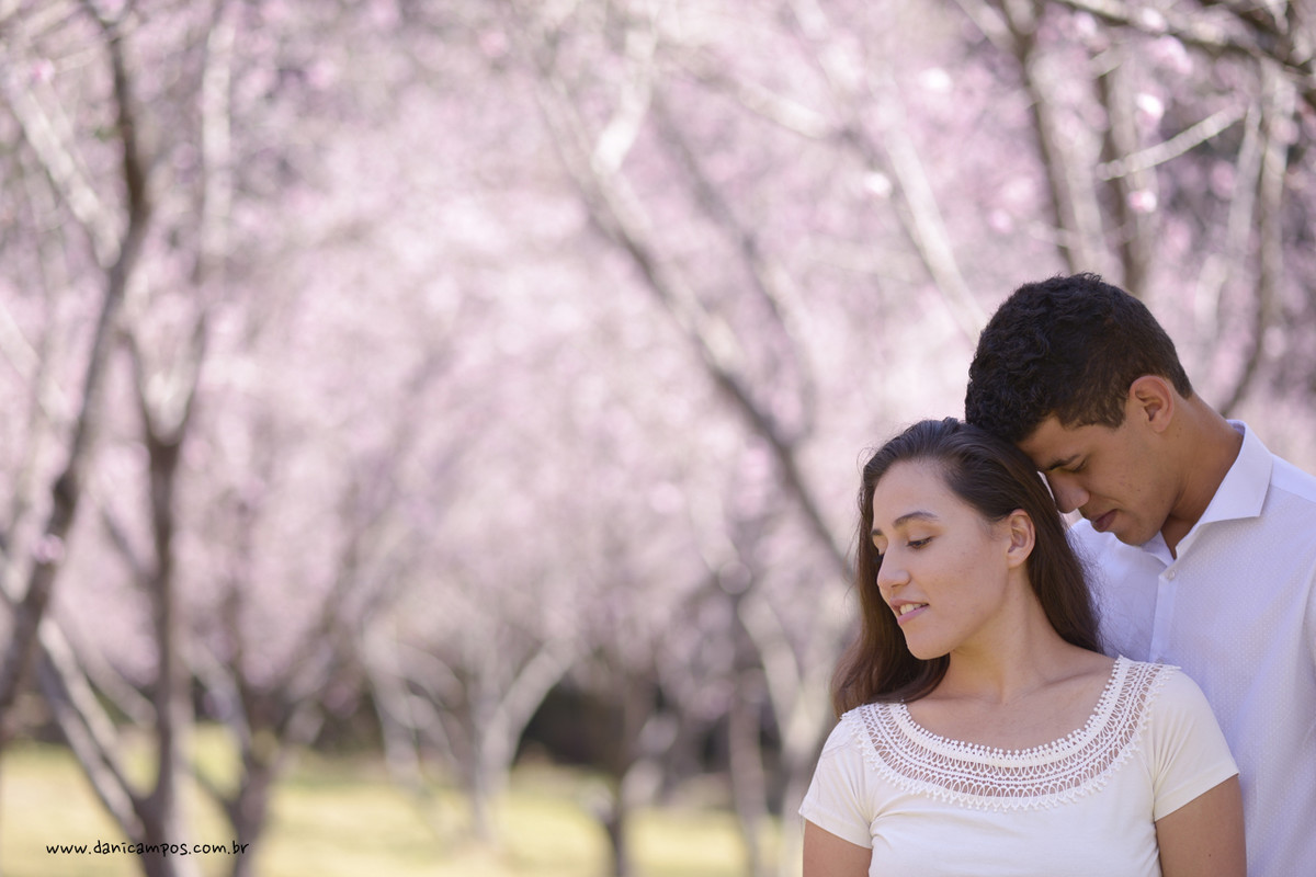 fotografia de casamento, casamento, pre wedding, parque das cereijeiras, dani campos, danica campos fotografia, casais, fotografia, fotografos no litoral, campos do jordao