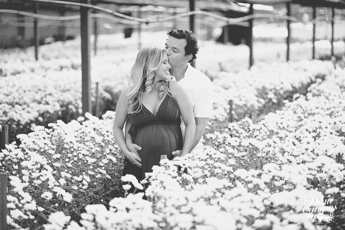 maternidade fotografia gestante fotografos no litoral holambra ensaio fotografico dani campos 