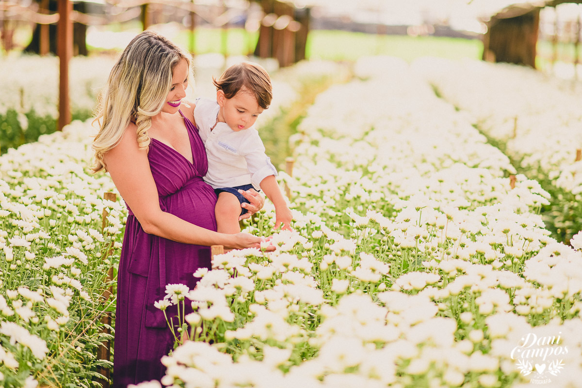 maternidade fotografia gestante fotografos no litoral holambra ensaio fotografico dani campos 