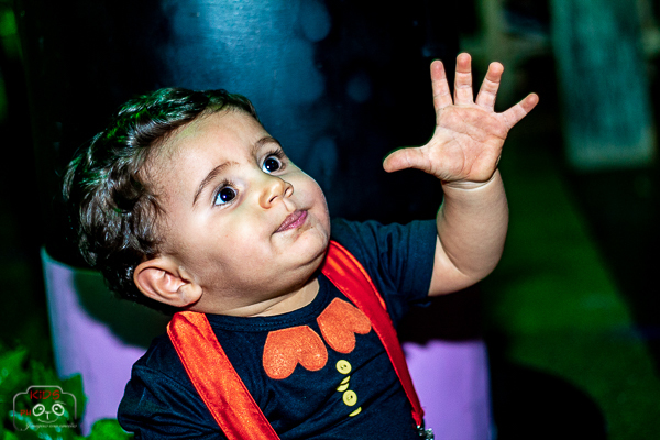 Festa Infantil para comemorar o 1º ano de vida do Lucas no Restaurante Espaço Rustico Culinária