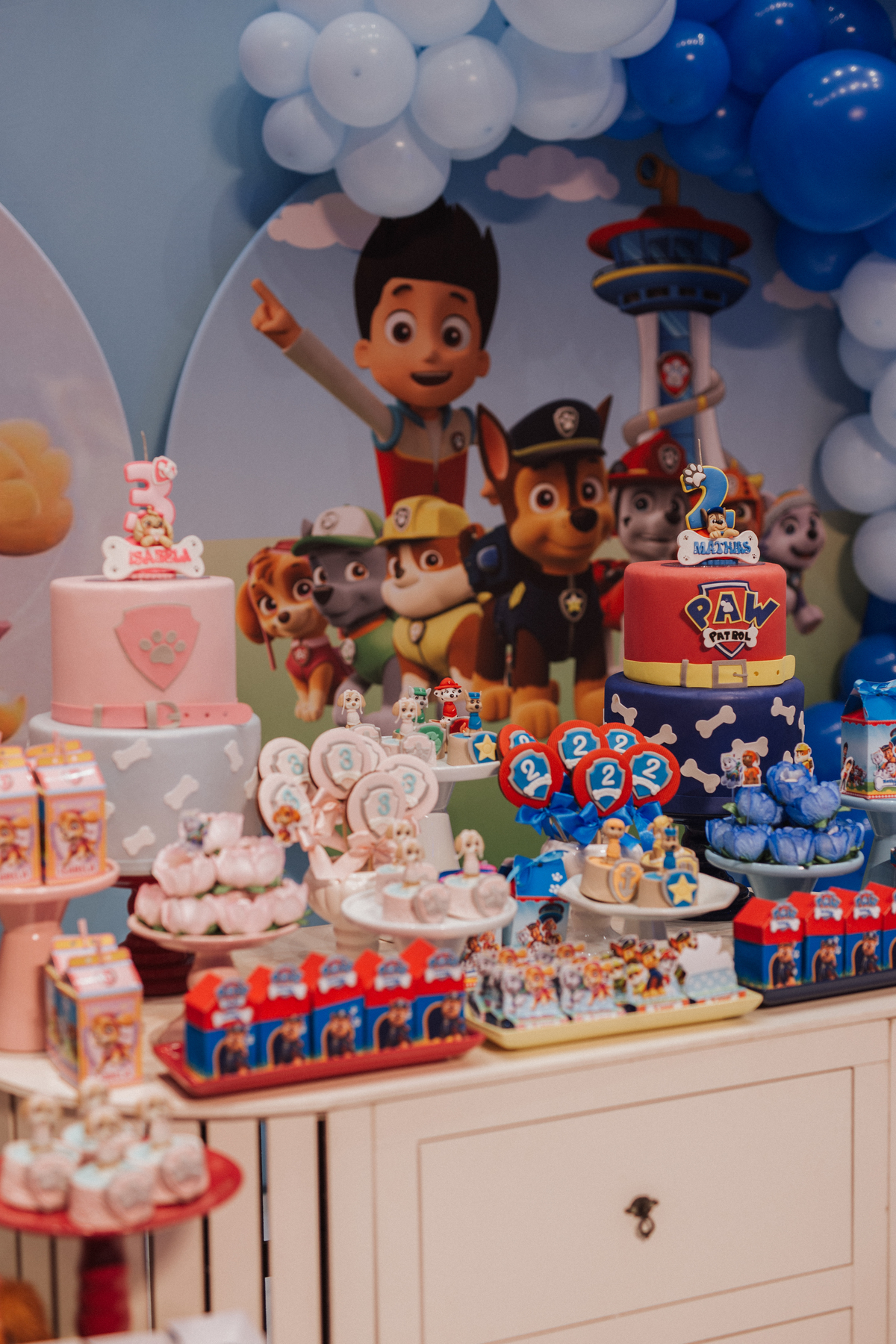 Aniversário infantil com tema da patrulha canina