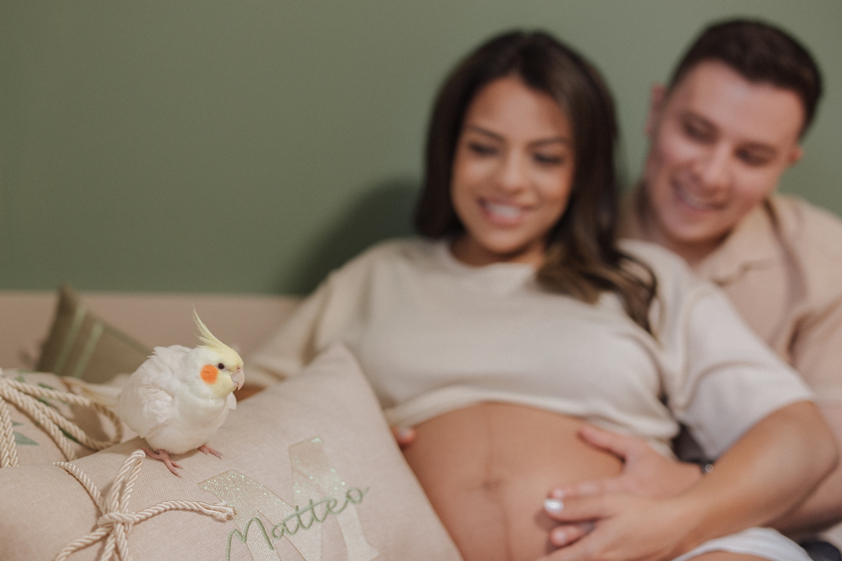 Inspiração de foto com seu animal de estimação 