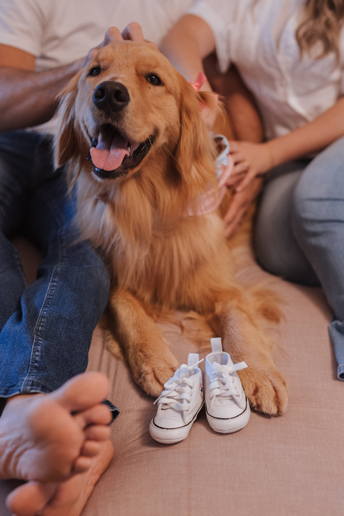Ensaio revelação da gravidez em casa