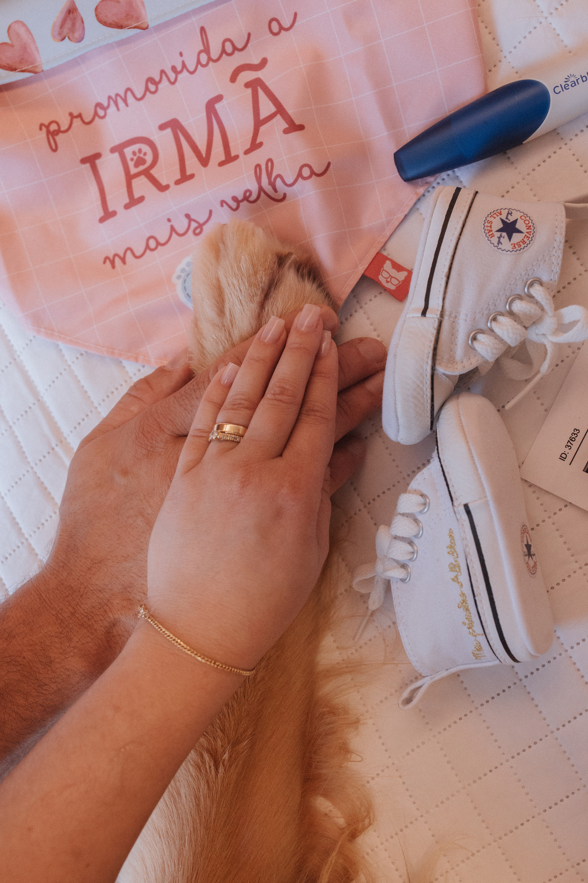 Ensaio revelação da gravidez em casa