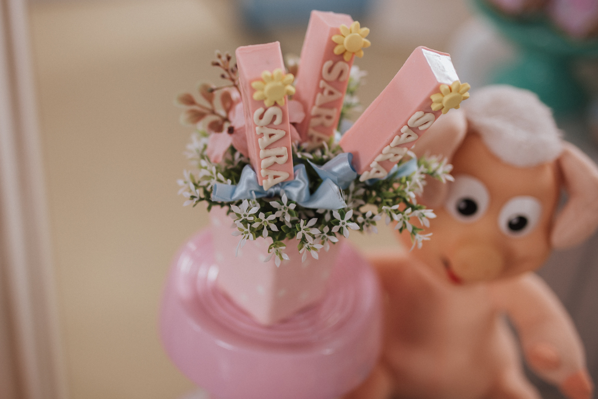 Aniversário infantil com tema da arca de noé