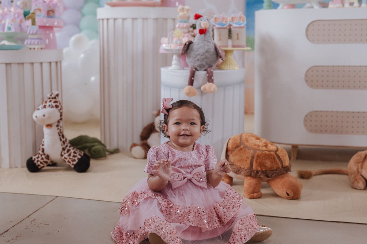 Aniversário infantil com tema da arca de noé