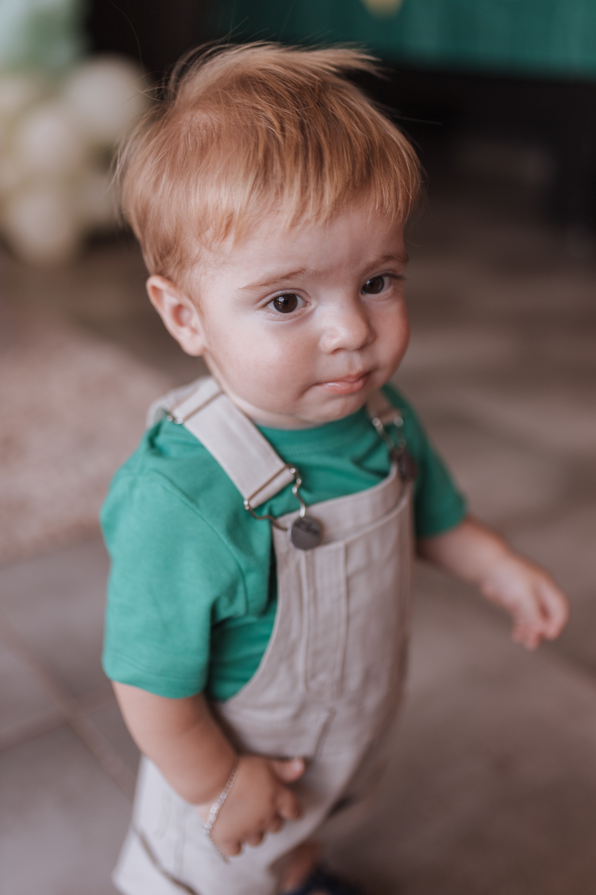 Aniversário infantil com tema de Safari