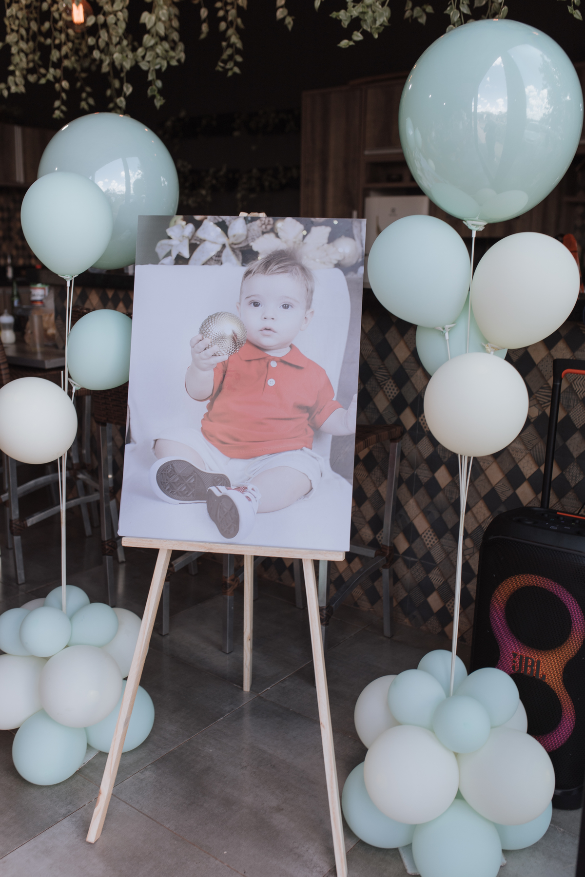 Aniversário infantil com tema de Safari