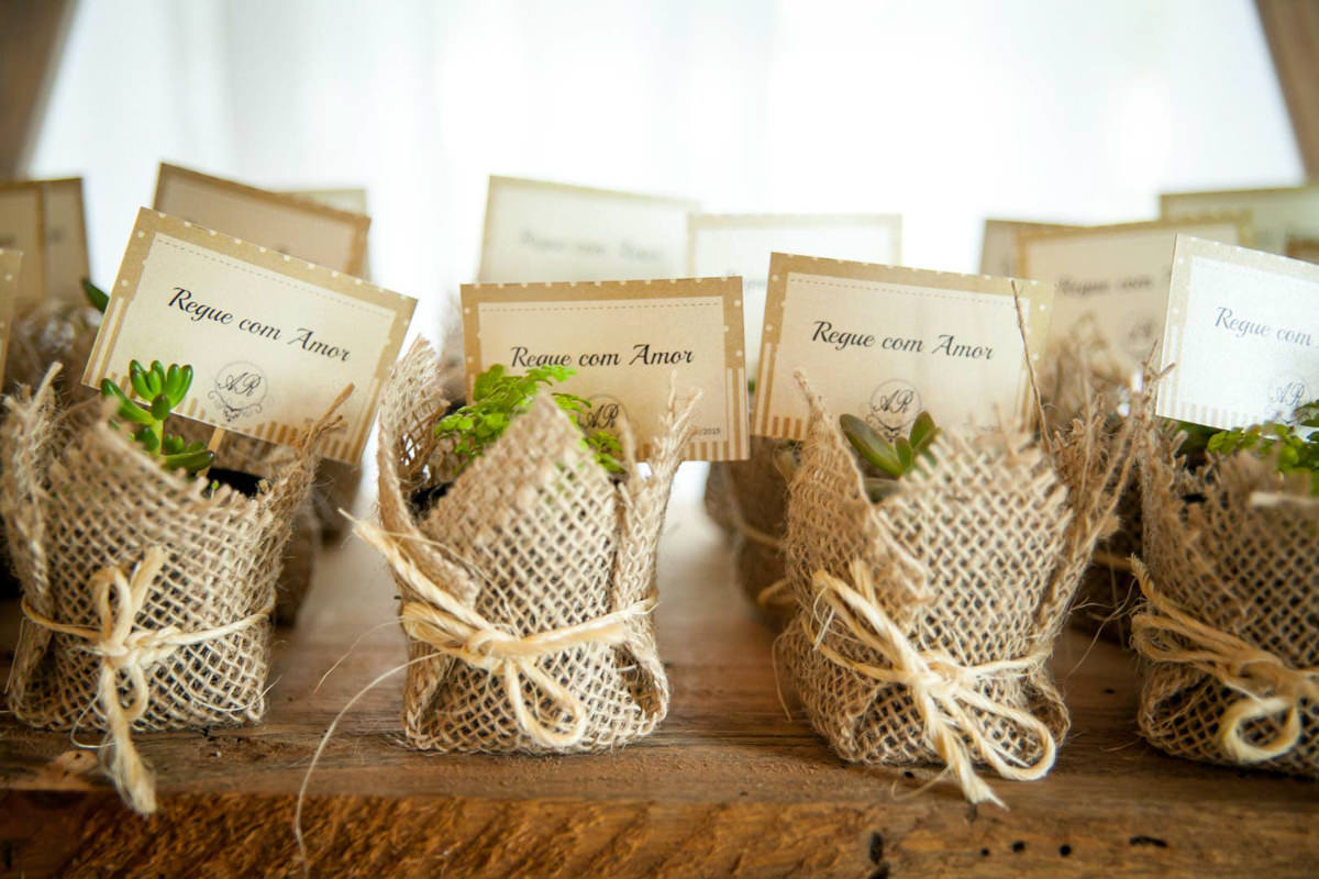 Decoração fofa de casamento ao ar livre lembrancinhas de suculentas rústicas com recado regue com amor 