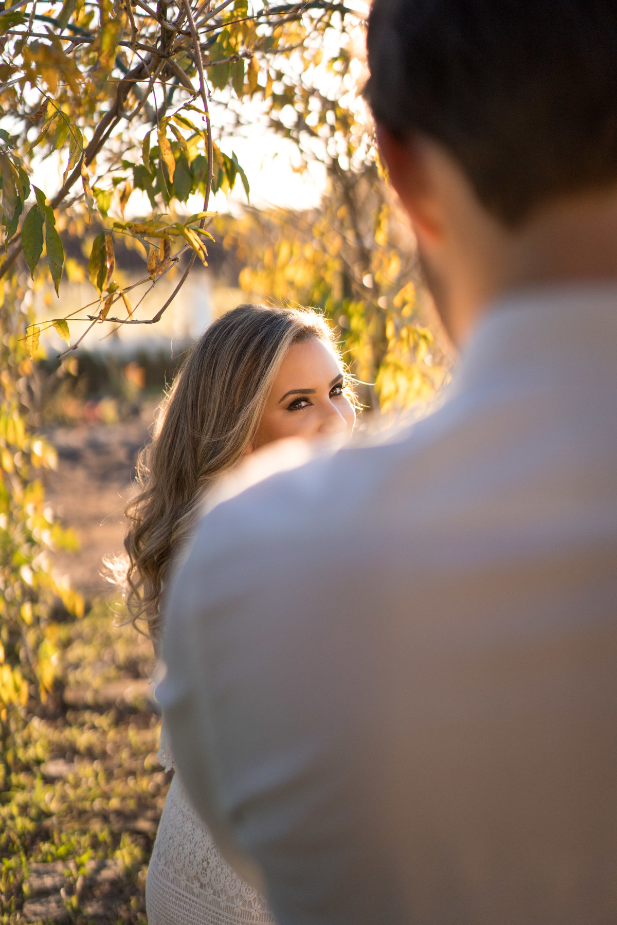 Ensaio maravilhoso de casamento noivos no por do sol com um cavalo ao fundo casamento no campo casamento ao ar livre luz dourada 