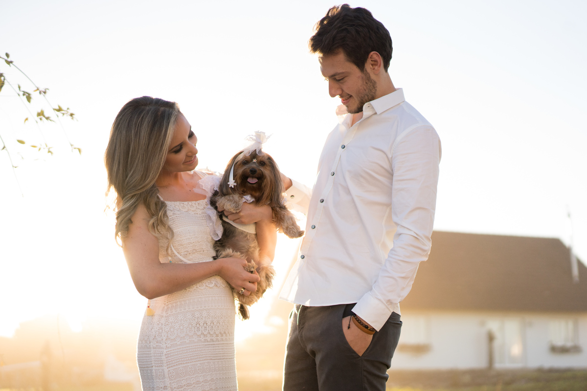 Ensaio maravilhoso de casamento noivos no por do sol com um cavalo ao fundo casamento no campo casamento ao ar livre luz dourada casamento campo largo curitiba as melhores fotos de casamento o melhor fotografo de casamento do brasil