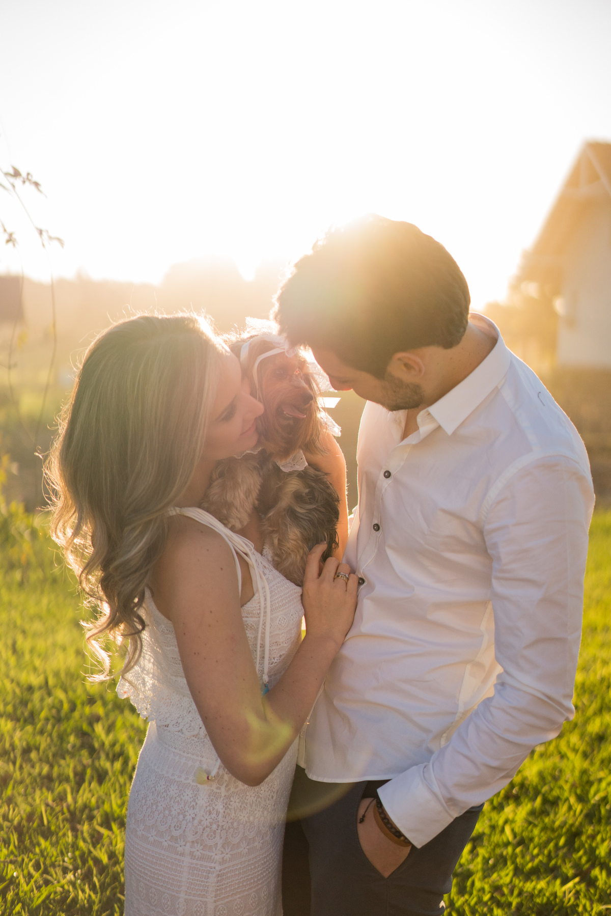 Ensaio maravilhoso de casamento noivos no por do sol com um cavalo ao fundo casamento no campo casamento ao ar livre luz dourada casamento campo largo curitiba as melhores fotos de casamento o melhor fotografo de casamento do brasil
