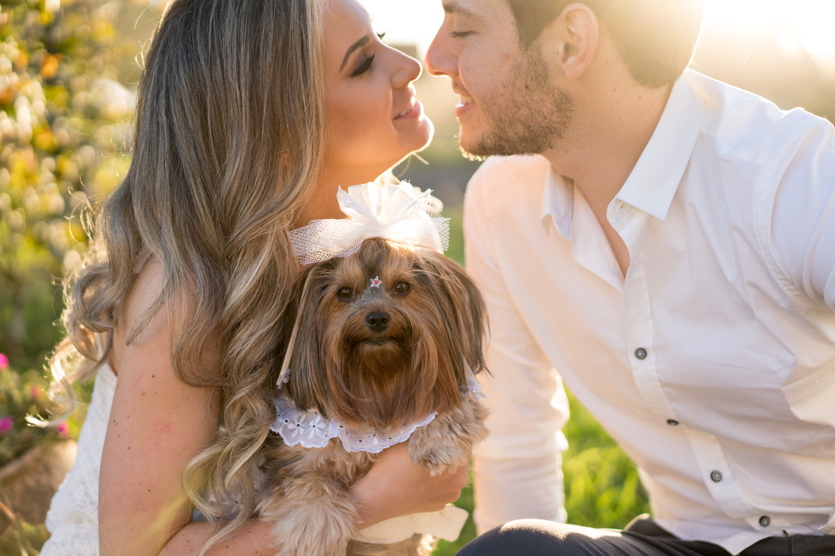 Ensaio maravilhoso de casamento noivos no por do sol com um cavalo ao fundo casamento no campo casamento ao ar livre luz dourada casamento campo largo curitiba as melhores fotos de casamento o melhor fotografo de casamento do brasil