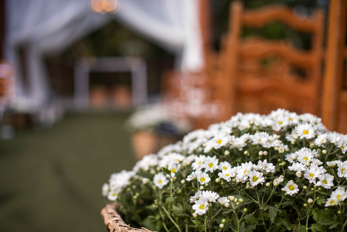Melhor fotógrafo de Campo Largo e curitiba Michel Druziki. Decoração de margaridas casamento ao ar livre