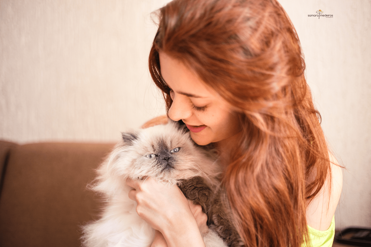 Menina sentada no sofá e abraçando e olhando seu gato persa himalaio.