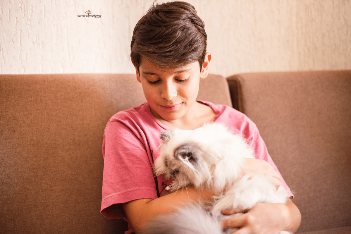 Menino sentado no sofá e abraçando seu gatinho persa himalaio.